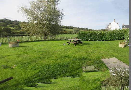 Garden with picnic table